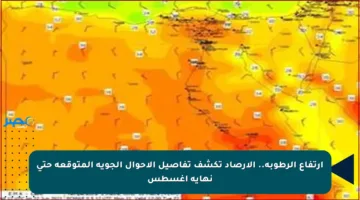 ارتفاع الرطوبة.. الأرصاد تكشف تفاصيل الأحوال الجوية المتوقعة حتى نهاية أغسطس